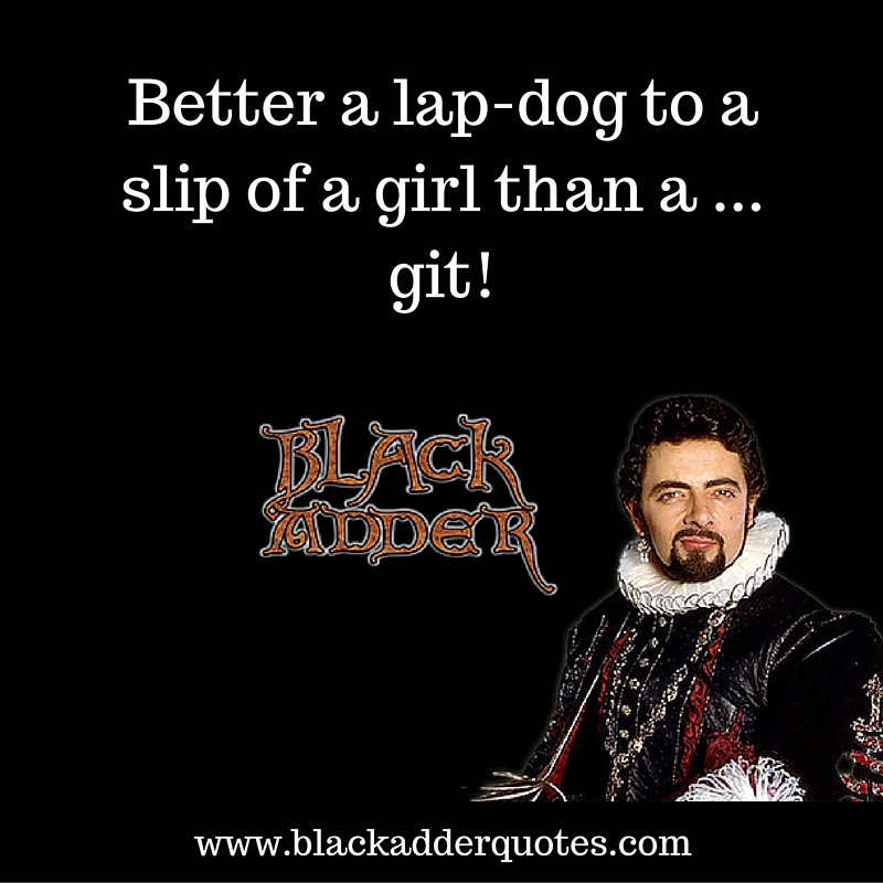 Better a lapdog to a slip of a girl than a ... git! Blackadder quote from the second series
